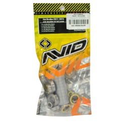 Hot Bodies D817, D815-Revolution