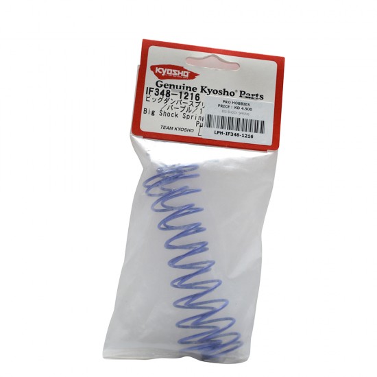 BIG SHOCK SPRING