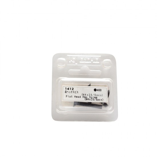 Flat Head Hex Screw (M4x25/5Pcs)