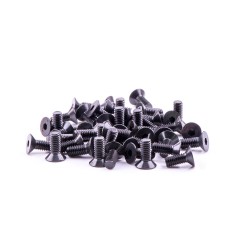 Countersunk screw M2.5X16 (6)