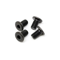 SS4508 Low Profile Chassis Screw A319E M5*8MM (4)