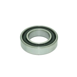 B-9021 Exhaust Gasket (2)