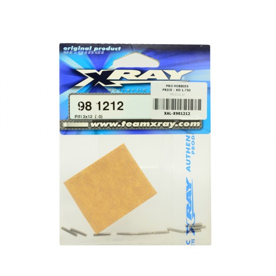 PIN 2x12  (10)