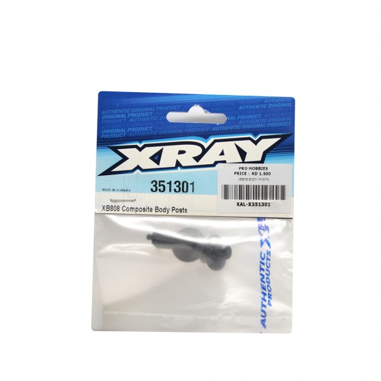 XB808 BODY POSTS