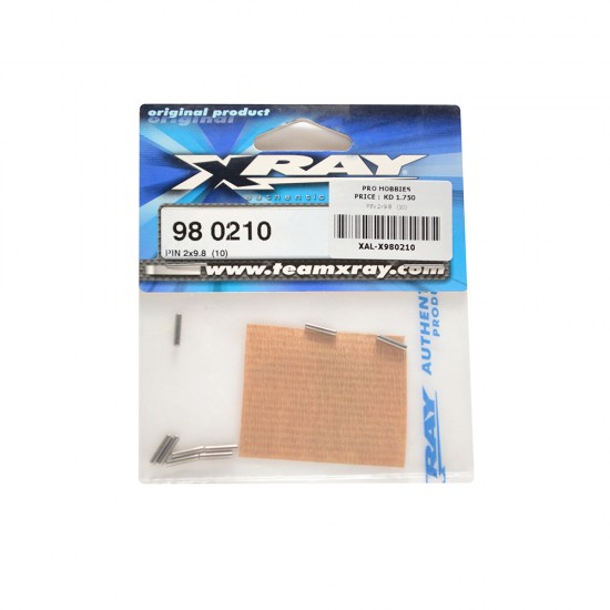 PIN 2x9.8   (10)