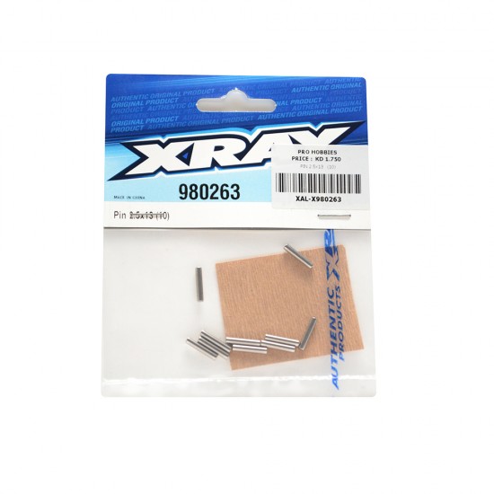 PIN 2.5x13 (10)