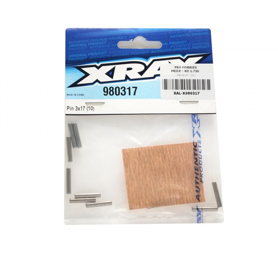 PIN 3x17 (10)