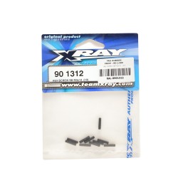 HEX SCREW SB M3x12   (10)