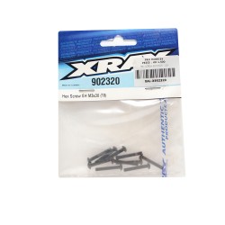 HEX SCREW SH M3x20   (10)