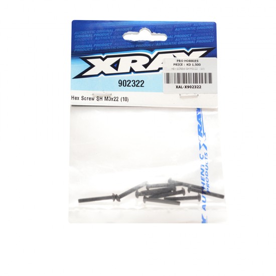 HEX SCREW SH M3x22   (10)