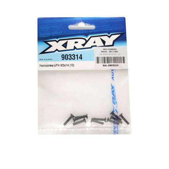 HEX SCREW SFH M3x14   (10)