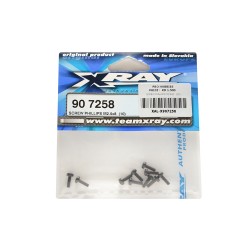 SCREW PHILLIPS M2.5x8   (10)