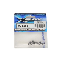 SCREW PHILLIPS 2.5x8   (10)