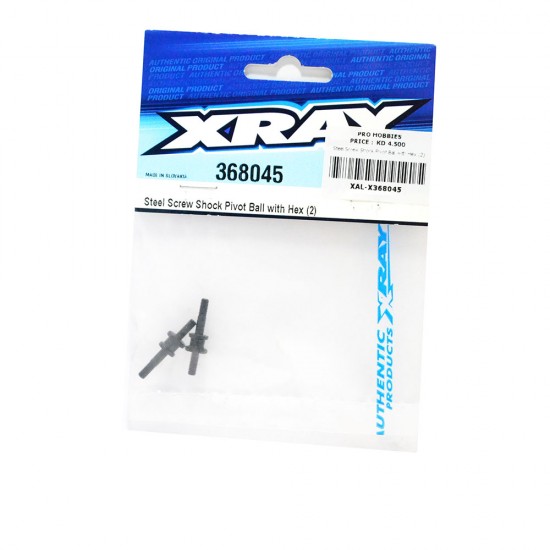 Steel Screw Shock Pivot Ball with Hex (2)