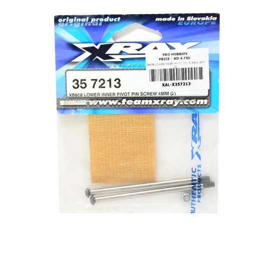 XB808 LOWER INNER PIVOT PIN SCREW 4MM (2)