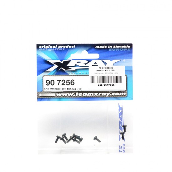SCREW PHILLIPS M2.5x6   (10)