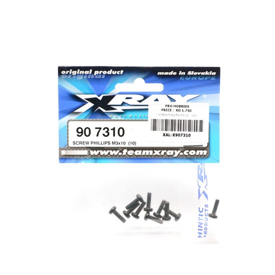 SCREW PHILLIPS M3x10   (10)
