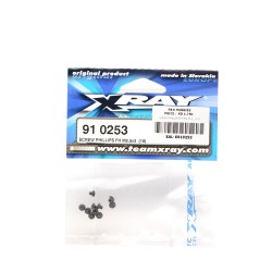 SCREW PHILLIPS FH M2.5x3   (10)